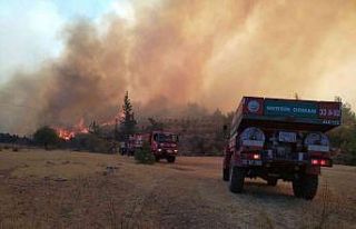 Mersin’deki orman yangınına 3 uçak, 2 helikopterle...