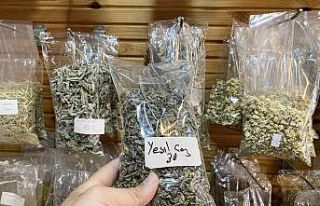 Mevsim geçişinde hasta olanlara yeşil çay tavsiyesi