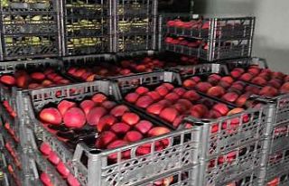 Meyvelerini bu şartlarda saklayıp 2 kat daha fazla...