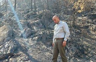 MHP’li Kılavuz, Mersin’deki yangın bölgesinden...