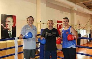 Milli boksörler, Avrupa Şampiyonası’nda altın...