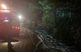 Milli Park’ta orman yangını çıktı, facia ucuz...