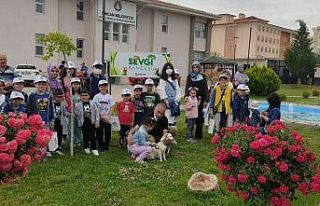 Minik dostlara sevginin yolu bu bahçeden geçiyor
