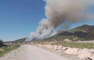 Muğla-Denizli il sınırında orman yangını