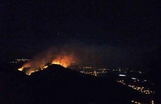 Muğla Valiliği: “Gerekli tedbirler ekiplerimizce...