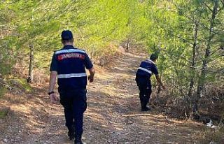 Muğla’da orman yangını riskine karşı teyakkuz