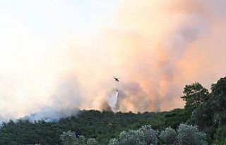 Muğla’daki yangın kontrol altına alındı