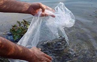 Mut Göksu Nehrine 8 bin balık bırakıldı