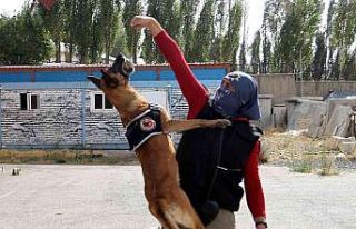 Narkotik köpeği Eris, Erzurum’da uyuşturucuya...