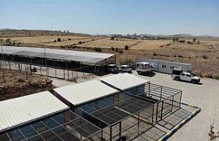 Nevşehir’de binden fazla sokak hayvanı kısırlaştırıldı