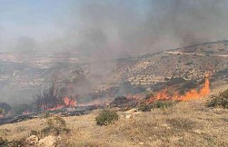 Nizip’te orman yangını