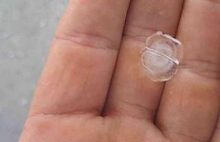 Önce hortum sonra misket büyüklüğünde dolu vurdu