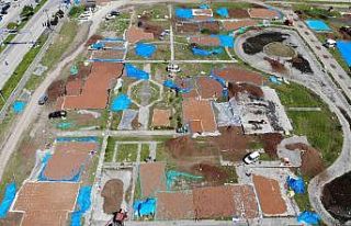 Ordu fındık harmanı gibi