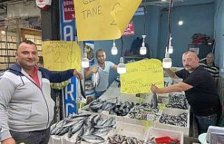 Ordu’da palamut balığını tanesi 20 liraya düştü