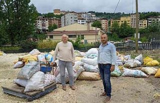 Ordu’da toptan elma alımları sürüyor