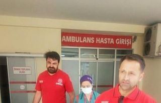 Organ bağışı 3 hastaya şifa oldu