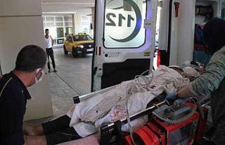 Ormanlık alanda duyduğu sese koşan kardeşi yıkan...