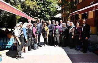 Örnek projeye övgü