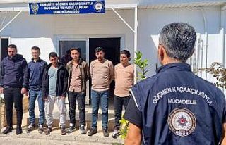 Osmaniye’de 6 düzensiz göçmen yakalandı