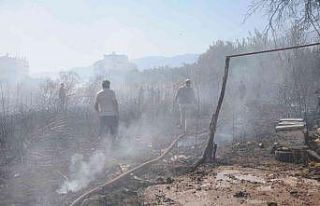 Otluk alanda çıkan yangın portakal ağaçları...