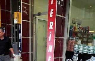 Otomobil sürücüsü çarptığı köpeği veterinere...