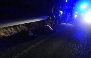 Otomobilin çarptığı keçiler telef oldu