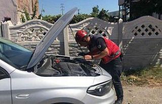 Otomobilin motor kısmına giren afacan kediyi itfaiye...
