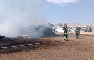 Özalp ilçesinde 3 bin bağ ot yandı