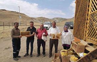 Özalp’te bal sağımı