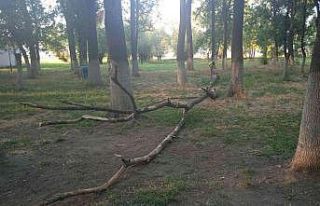 (ÖZEL) Mangal keyfi az kalsın faciaya dönüyordu