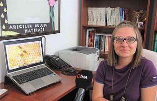 (ÖZEL) Türkiye’de ilk kez arıların davranışı...