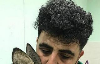 Parçalanan arka bacağı kesilerek hayatı kurtarıldı
