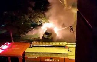 Park halindeki otomobil alevlere teslim oldu