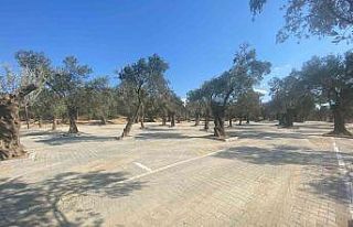 Pelitköy’e yeni pazar yeri kuruldu