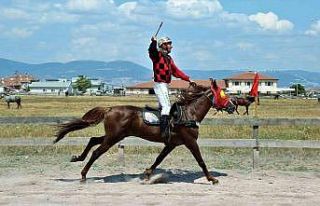 Rahvan at sahipleri Kocaeli’de buluşacak