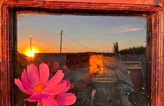 Rengarenk çiçekler sonbaharı karşıladı