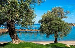 Rixos Olive Fest için geri sayım başladı