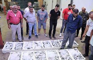 Rize’de balık sezonu bereketli başladı