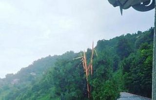 Rize’de yıldırımın düştüğü ağaç ikiye...