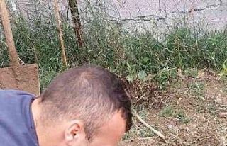 Rögar kapağına sıkışan yavru köpeği itfaiye...