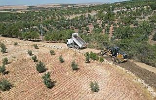 Şahinbey’de çiftçiye yol desteği