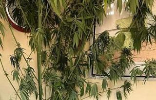 Sakarya’da uyuşturucu operasyonları: 5 gözaltı