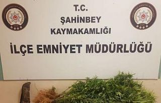 Saksıda uyuşturucuya polis darbesi