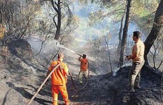 Salihli’de çıkan orman yangını kontrol altına...