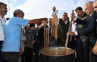 Şanlıurfa’da bağ bozumu festivali