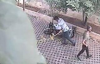 Şanlıurfa’da pes dedirten hırsızlık kamerada