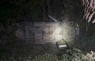 Şarampole uçan kamyonetin sürücüsü yaralandı