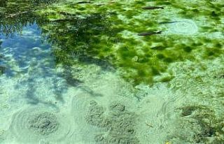 Şehrin ortasındaki gizemli Dipsiz Göl, görenleri...