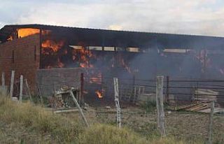 Selendi’de samanlık yangını korkuttu