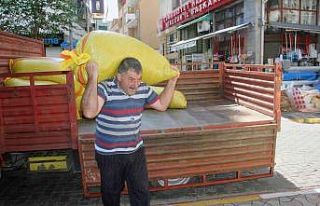 Serbest piyasada fındık fiyatı düşüşe başladı